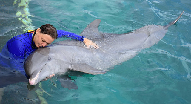 Guest embracing dolphin
